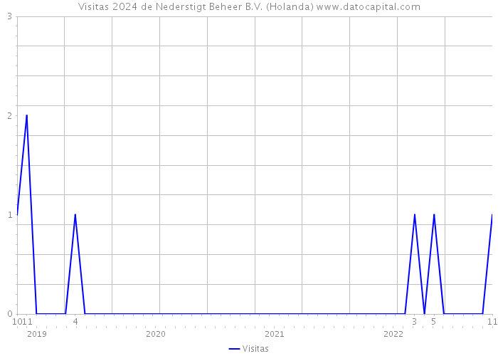 Visitas 2024 de Nederstigt Beheer B.V. (Holanda) 