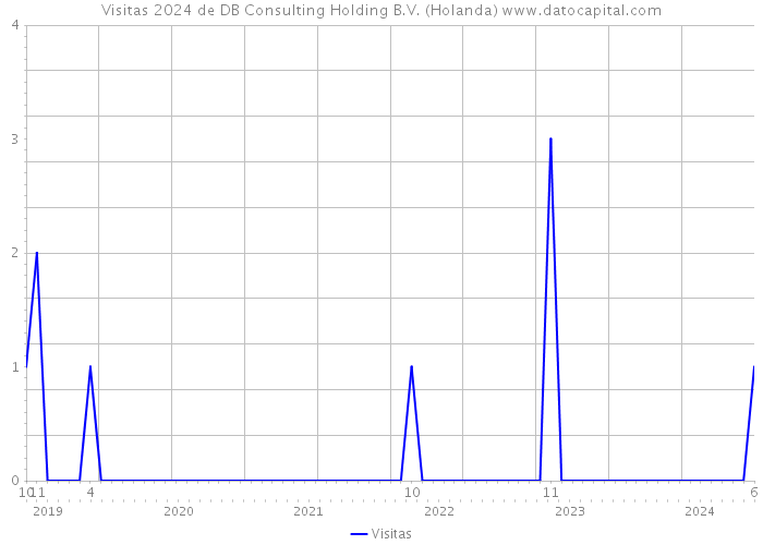 Visitas 2024 de DB Consulting Holding B.V. (Holanda) 