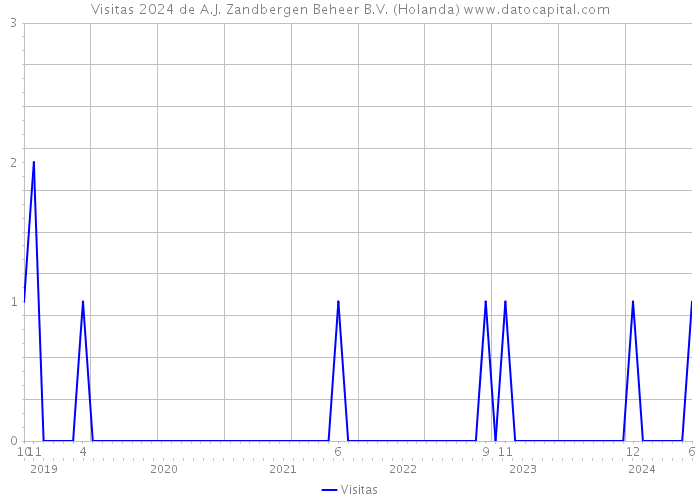 Visitas 2024 de A.J. Zandbergen Beheer B.V. (Holanda) 