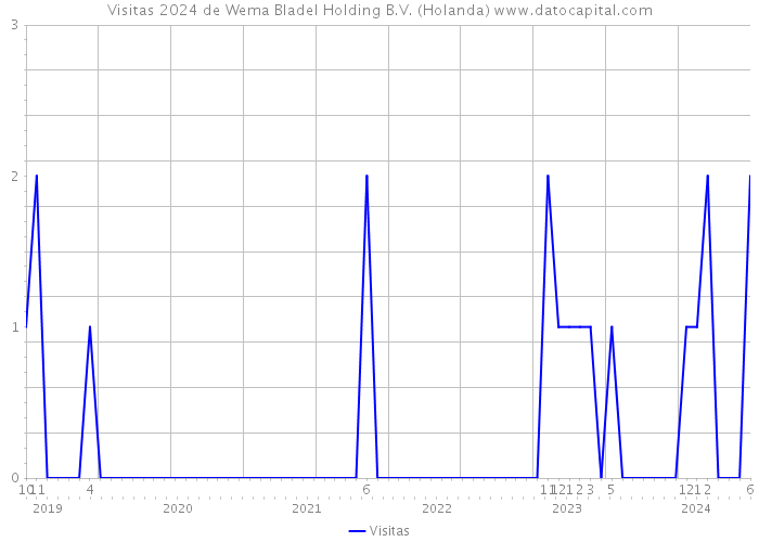 Visitas 2024 de Wema Bladel Holding B.V. (Holanda) 