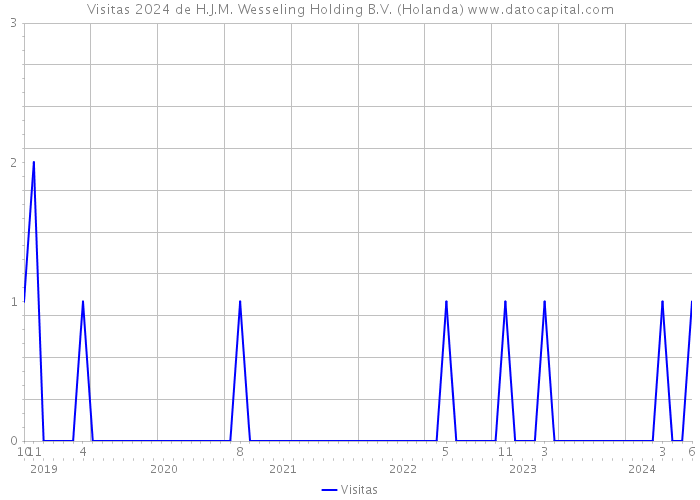 Visitas 2024 de H.J.M. Wesseling Holding B.V. (Holanda) 