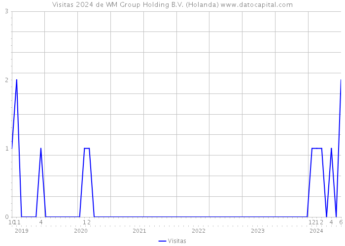 Visitas 2024 de WM Group Holding B.V. (Holanda) 