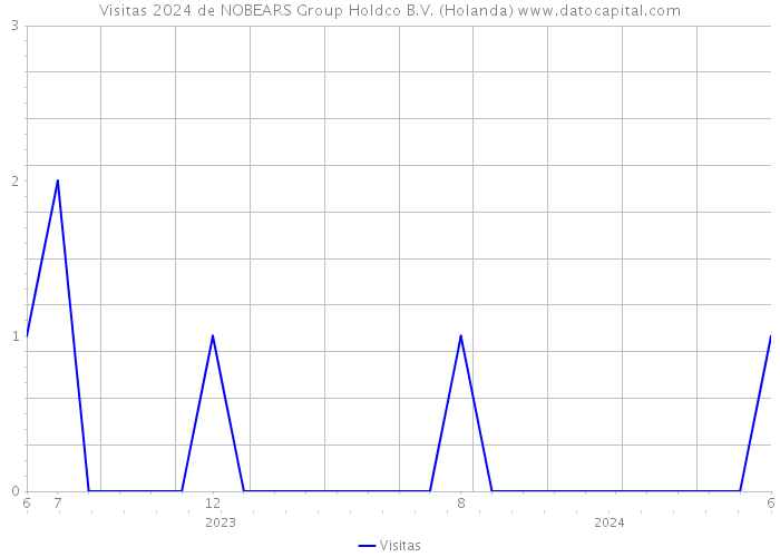 Visitas 2024 de NOBEARS Group Holdco B.V. (Holanda) 