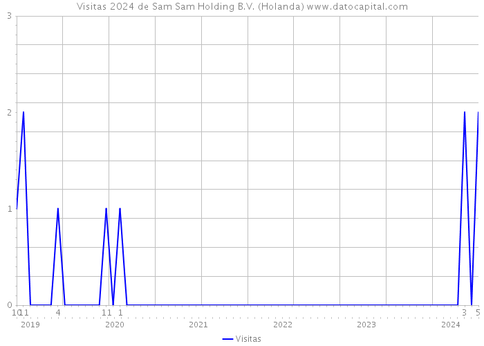 Visitas 2024 de Sam Sam Holding B.V. (Holanda) 