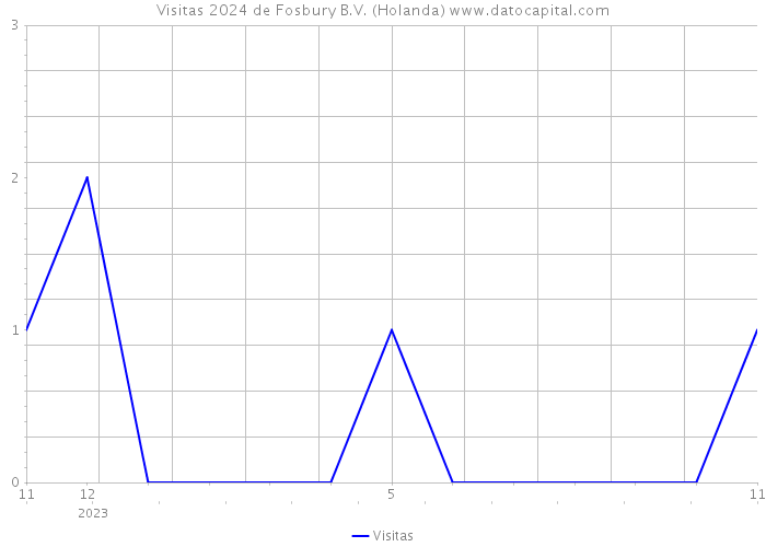 Visitas 2024 de Fosbury B.V. (Holanda) 