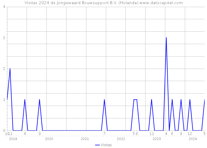Visitas 2024 de Jongewaard Bouwsupport B.V. (Holanda) 