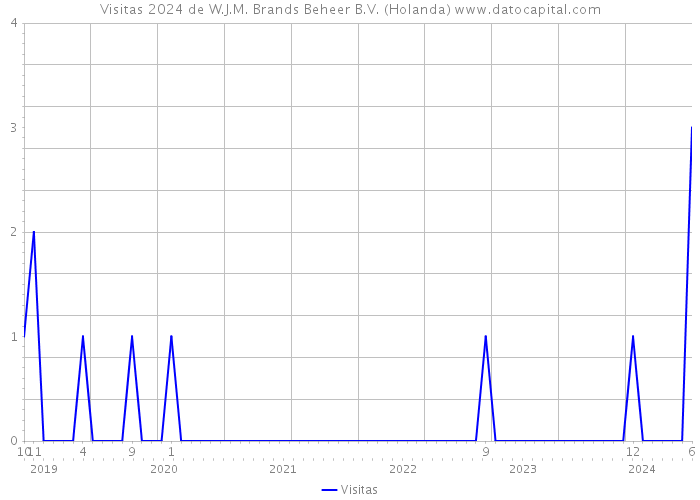 Visitas 2024 de W.J.M. Brands Beheer B.V. (Holanda) 