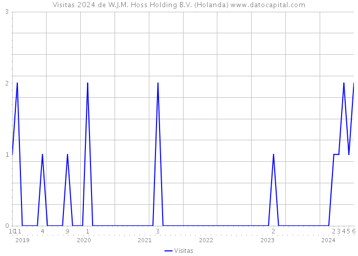 Visitas 2024 de W.J.M. Hoss Holding B.V. (Holanda) 