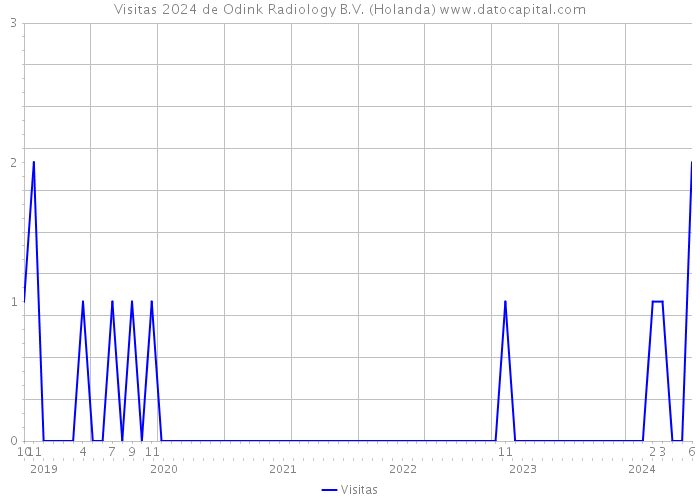 Visitas 2024 de Odink Radiology B.V. (Holanda) 