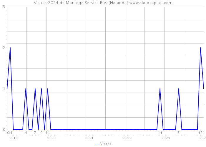 Visitas 2024 de Montage Service B.V. (Holanda) 