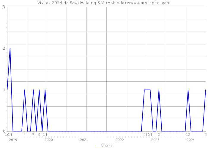 Visitas 2024 de Bewi Holding B.V. (Holanda) 