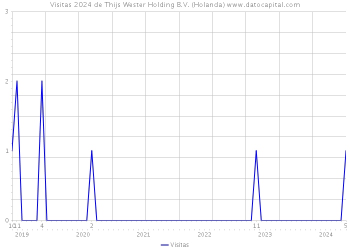 Visitas 2024 de Thijs Wester Holding B.V. (Holanda) 