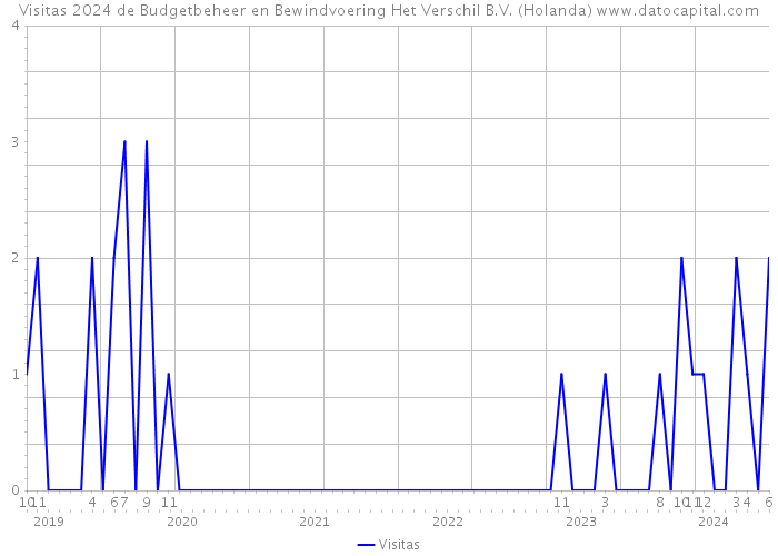 Visitas 2024 de Budgetbeheer en Bewindvoering Het Verschil B.V. (Holanda) 