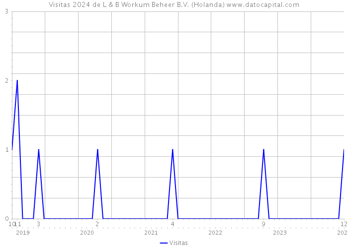 Visitas 2024 de L & B Workum Beheer B.V. (Holanda) 