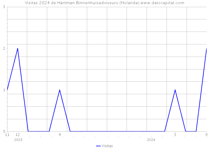 Visitas 2024 de Hartman Binnenhuisadviseurs (Holanda) 