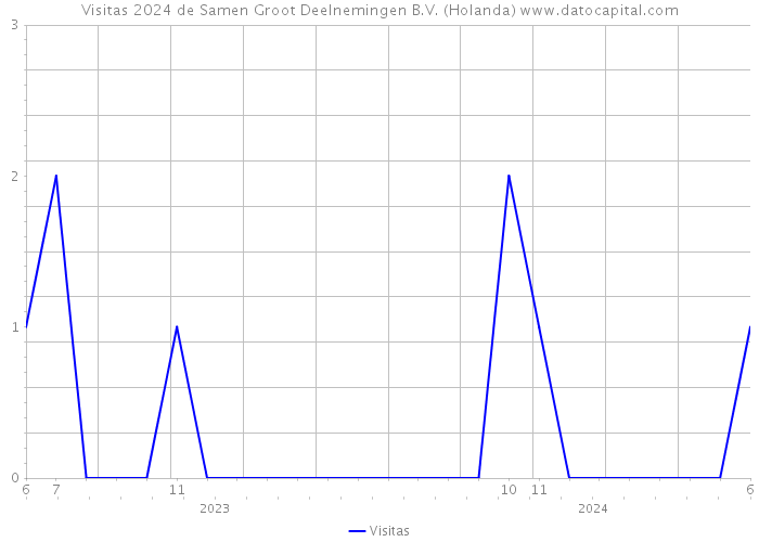 Visitas 2024 de Samen Groot Deelnemingen B.V. (Holanda) 