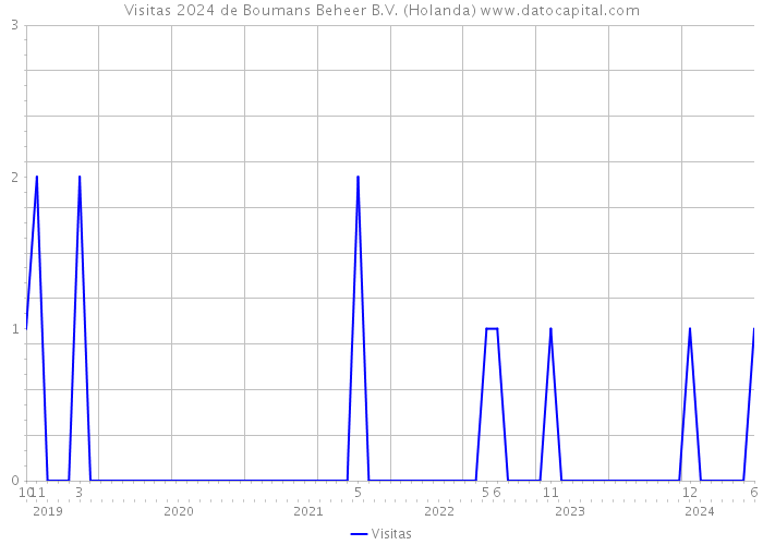 Visitas 2024 de Boumans Beheer B.V. (Holanda) 