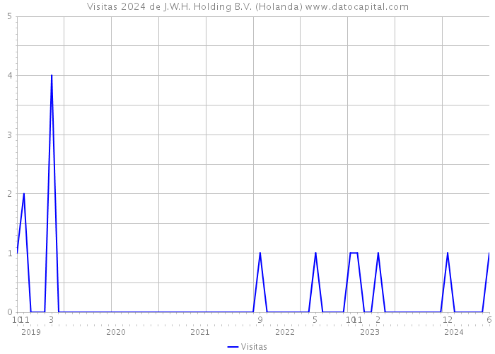 Visitas 2024 de J.W.H. Holding B.V. (Holanda) 