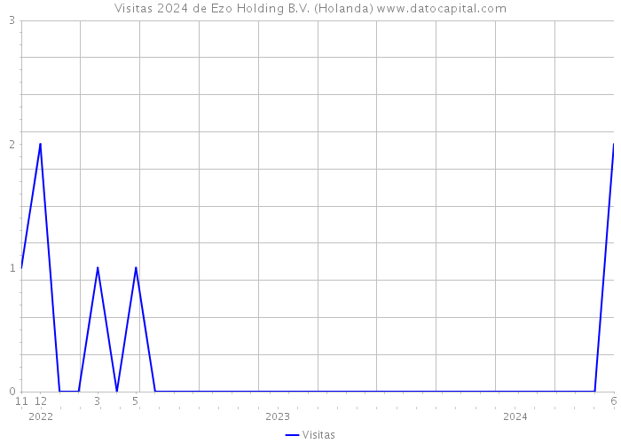 Visitas 2024 de Ezo Holding B.V. (Holanda) 