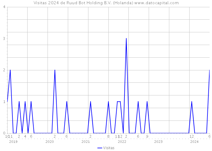 Visitas 2024 de Ruud Bot Holding B.V. (Holanda) 