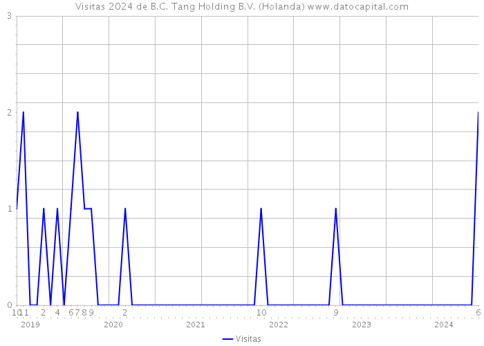 Visitas 2024 de B.C. Tang Holding B.V. (Holanda) 