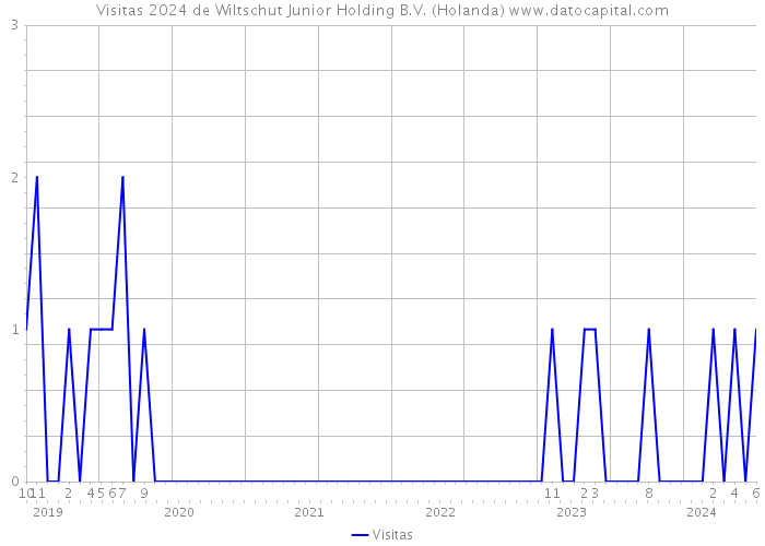 Visitas 2024 de Wiltschut Junior Holding B.V. (Holanda) 