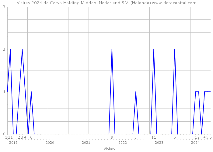 Visitas 2024 de Cervo Holding Midden-Nederland B.V. (Holanda) 