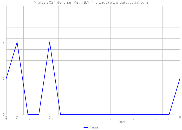 Visitas 2024 de Johan Visch B.V. (Holanda) 