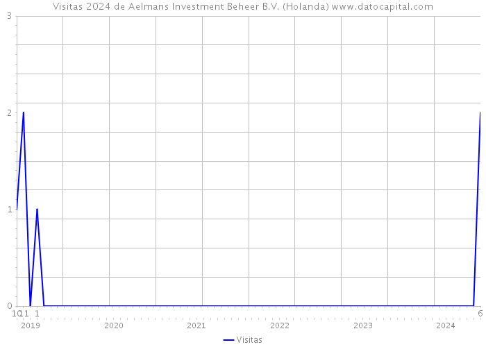 Visitas 2024 de Aelmans Investment Beheer B.V. (Holanda) 