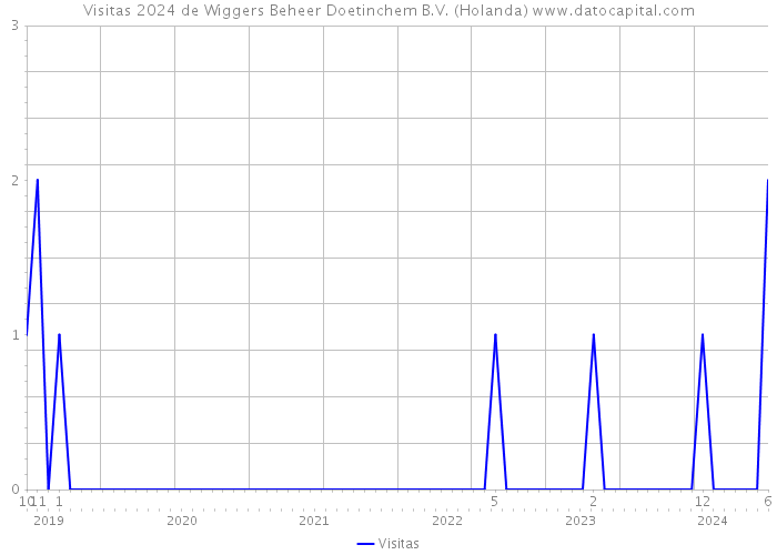 Visitas 2024 de Wiggers Beheer Doetinchem B.V. (Holanda) 