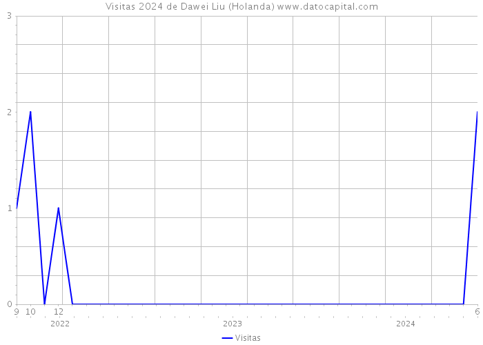 Visitas 2024 de Dawei Liu (Holanda) 