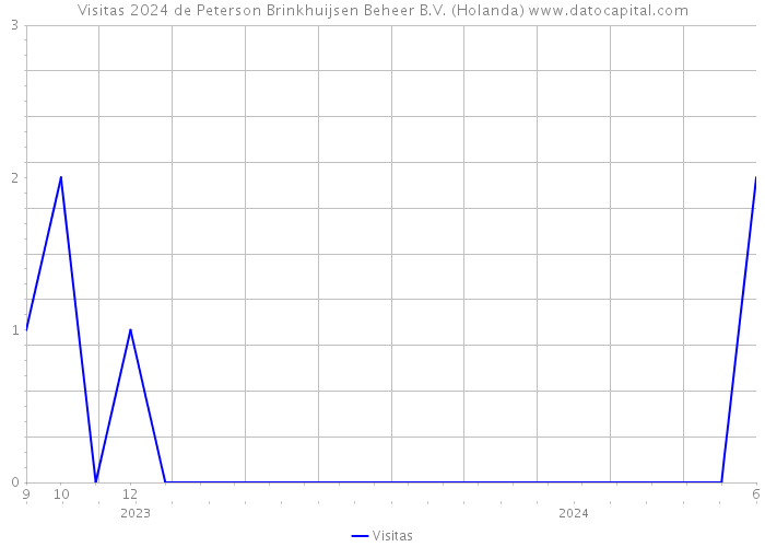 Visitas 2024 de Peterson Brinkhuijsen Beheer B.V. (Holanda) 