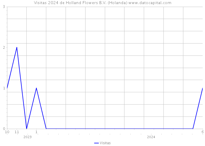 Visitas 2024 de Holland Flowers B.V. (Holanda) 