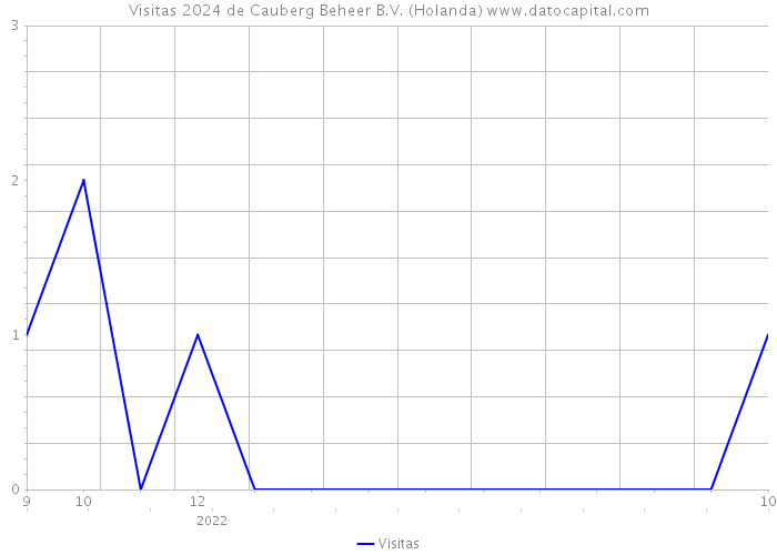 Visitas 2024 de Cauberg Beheer B.V. (Holanda) 