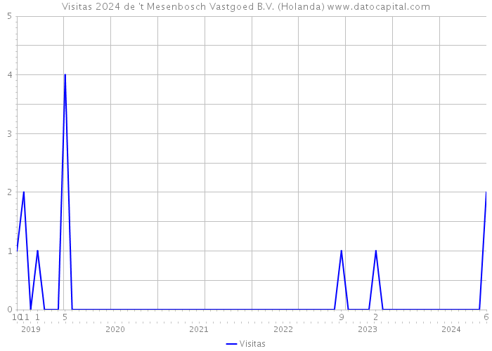 Visitas 2024 de 't Mesenbosch Vastgoed B.V. (Holanda) 