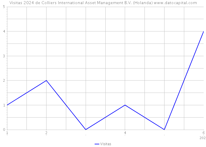 Visitas 2024 de Colliers International Asset Management B.V. (Holanda) 