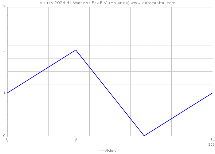 Visitas 2024 de Watsons Bay B.V. (Holanda) 