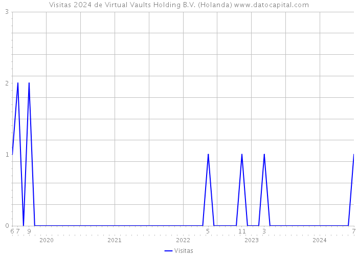 Visitas 2024 de Virtual Vaults Holding B.V. (Holanda) 