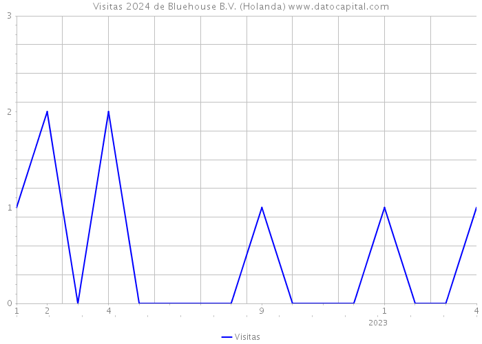 Visitas 2024 de Bluehouse B.V. (Holanda) 