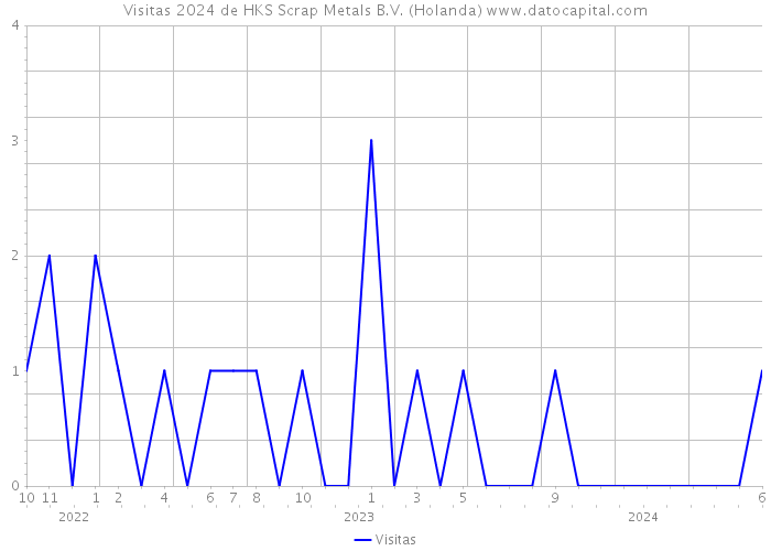 Visitas 2024 de HKS Scrap Metals B.V. (Holanda) 