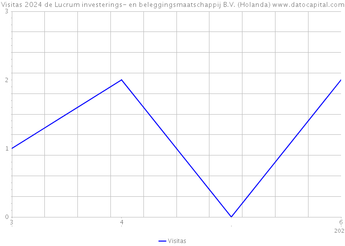 Visitas 2024 de Lucrum investerings- en beleggingsmaatschappij B.V. (Holanda) 