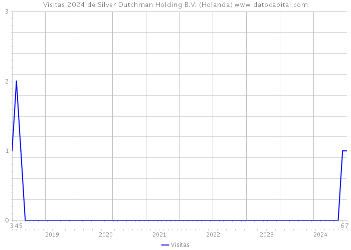 Visitas 2024 de Silver Dutchman Holding B.V. (Holanda) 