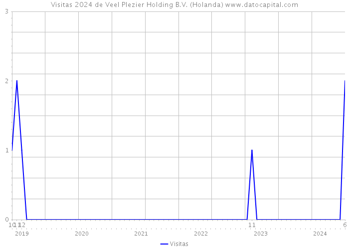 Visitas 2024 de Veel Plezier Holding B.V. (Holanda) 