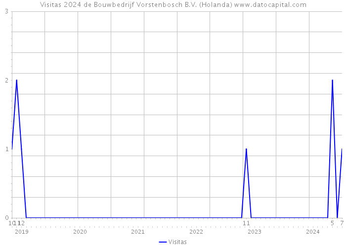 Visitas 2024 de Bouwbedrijf Vorstenbosch B.V. (Holanda) 