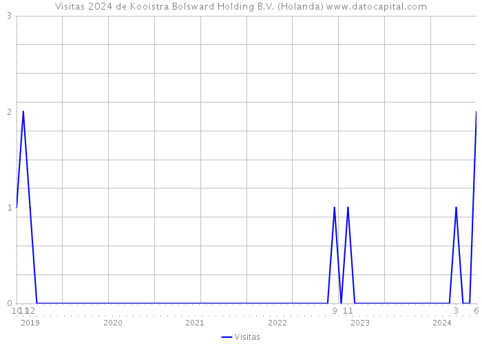 Visitas 2024 de Kooistra Bolsward Holding B.V. (Holanda) 