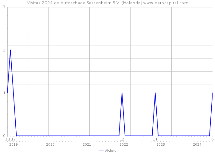 Visitas 2024 de Autoschade Sassenheim B.V. (Holanda) 