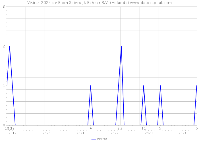 Visitas 2024 de Blom Spierdijk Beheer B.V. (Holanda) 