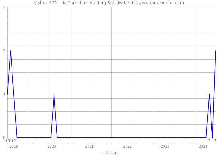 Visitas 2024 de Somnium Holding B.V. (Holanda) 