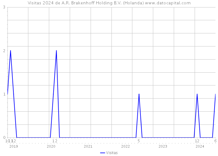 Visitas 2024 de A.R. Brakenhoff Holding B.V. (Holanda) 