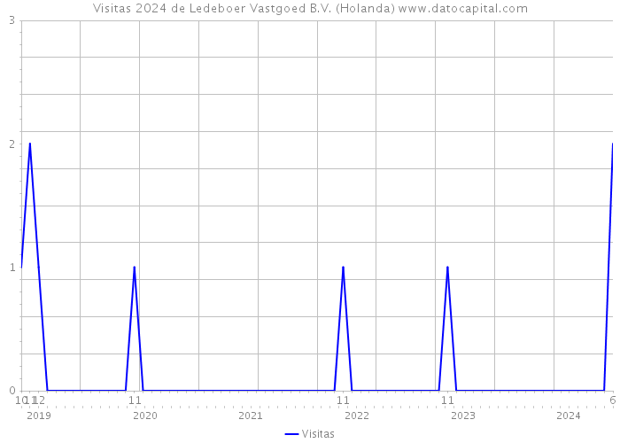 Visitas 2024 de Ledeboer Vastgoed B.V. (Holanda) 